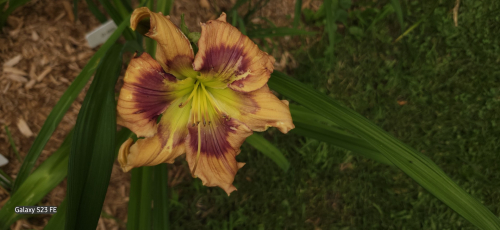 6a99eeaa997335.26186873.jpg